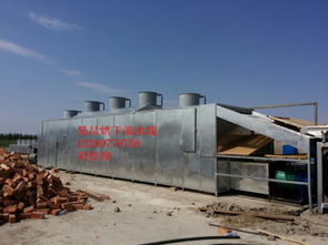 新疆辣椒烘干技术革新 探索昊昌全自动网带烘干流水线的高效解决方案